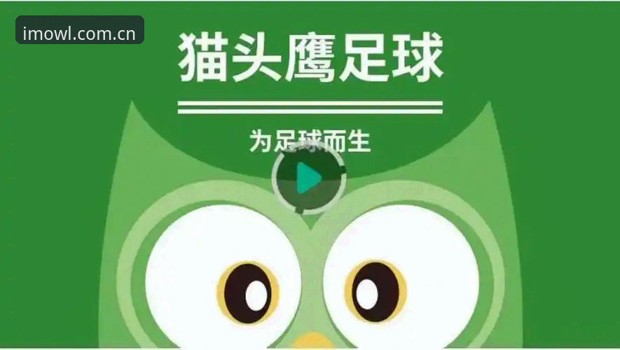 猫头鹰体育平台足球数据实测：一场从"找入口"到"看明白"的完整评测